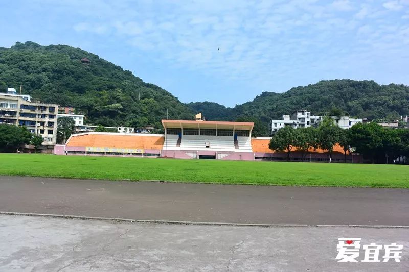 大楼爆破失败倒塌视频,大楼爆破瞬间倒塌真实视频