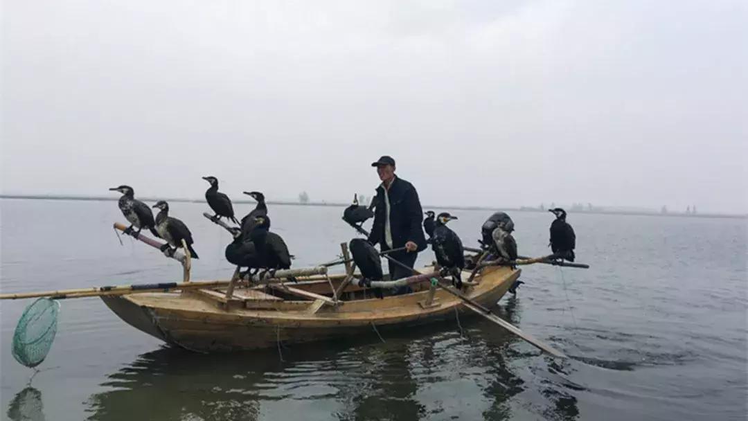 五一假期带着爸爸妈妈宝贝们钓虾,五一假期跟爸爸一起去田间劳动