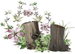 考研英语老师分析,考研英语阅读理解