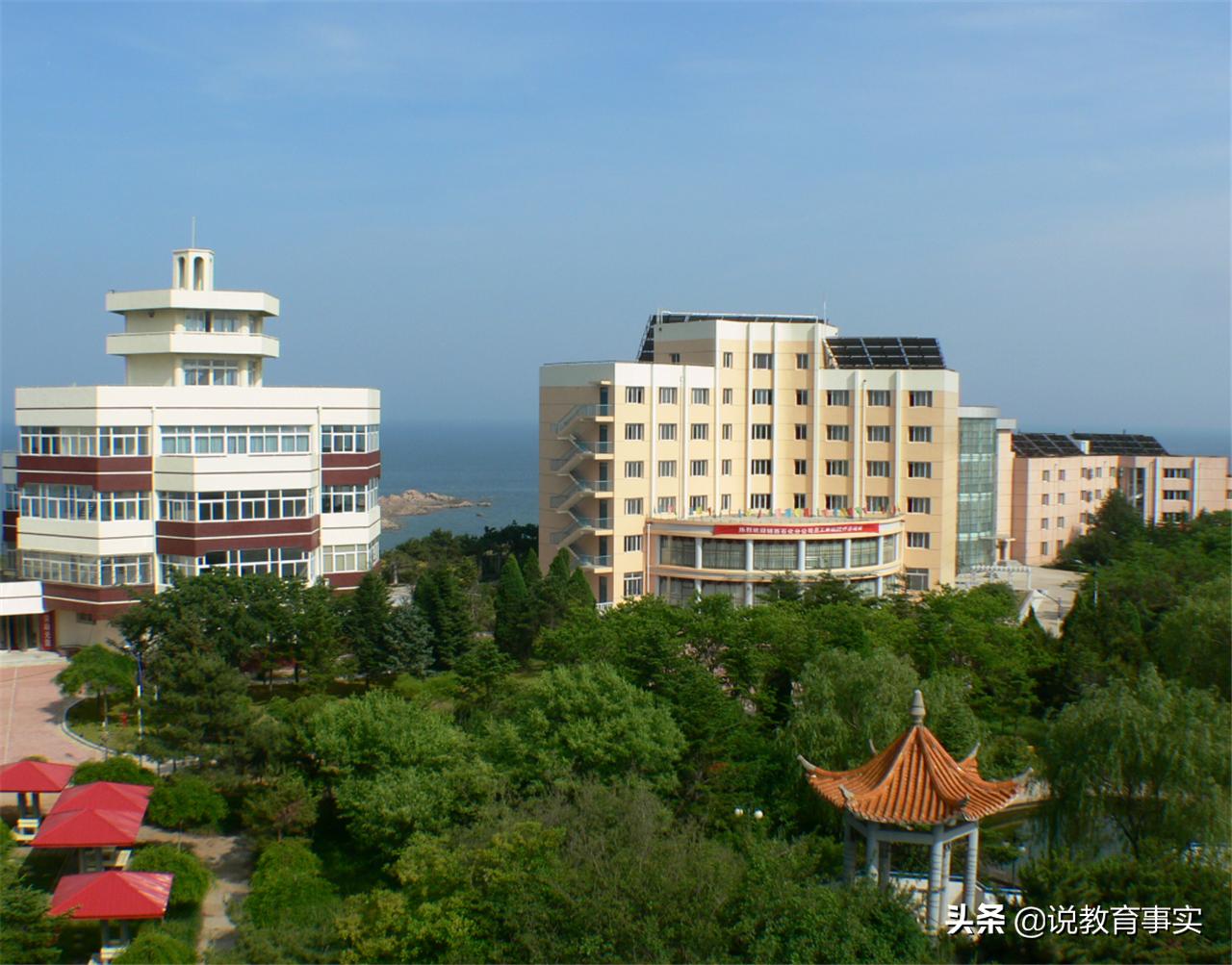 郑强太原理工担任什么职位,郑强是浙大还是太原理工的