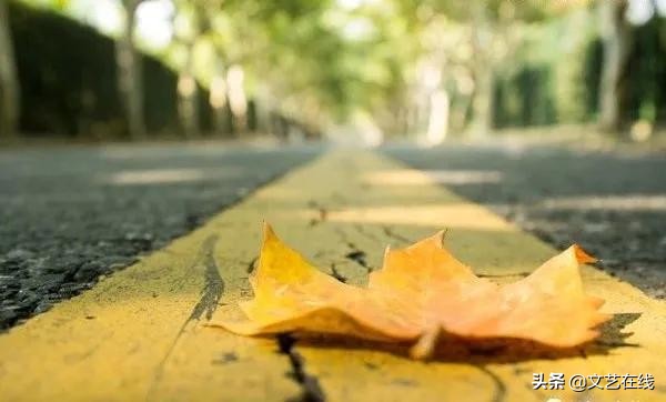 中国诗词大会描写秋天的诗句,诗词秋天朗诵大气