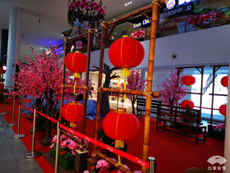 必须为亚航餐饮打call!椰浆鸡肉饭太惊艳了,真正的物美价廉