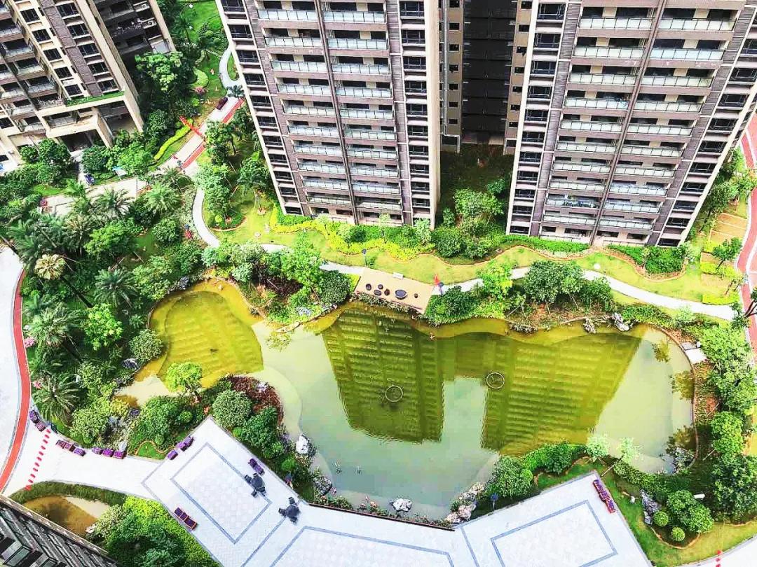 哭了!跑了一趟石岐,涨价比降价多