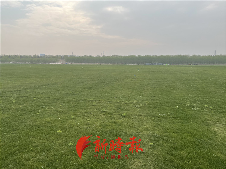 济南黄河网红草坪怎么去,济南黄河生态草坪基地门票团购