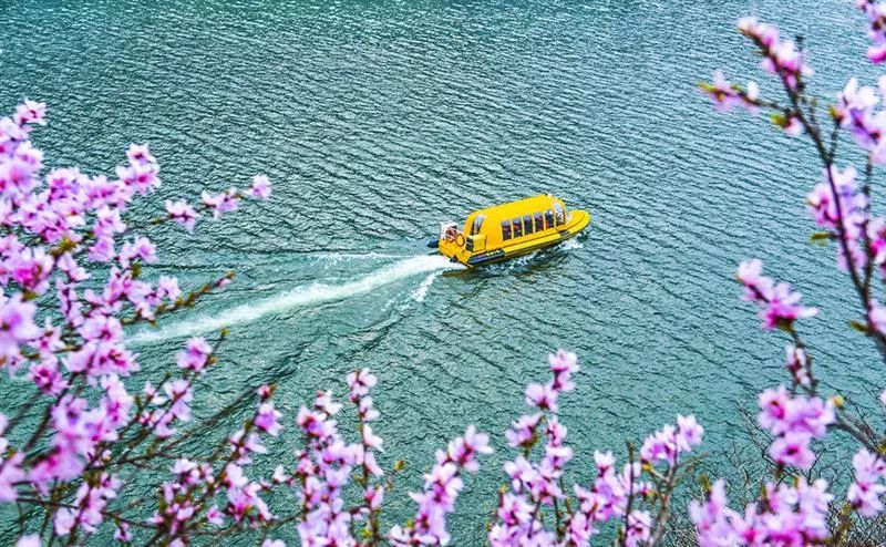 戴口罩的冬天太漫长，差点忘了中国的春天有多美