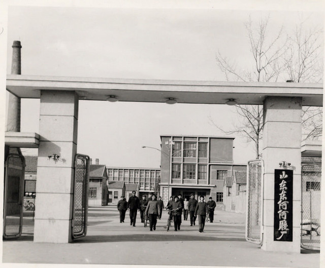 靠一块阿胶卖到73亿，被称“药中茅台”，一斤卖近6000元能赚多少