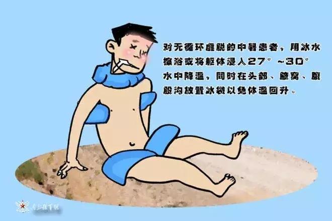 军事训练应激,当士兵训练时遇到狗