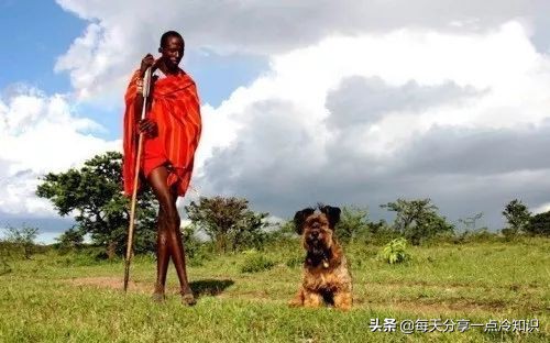 99个冷知识,九十个冷知识