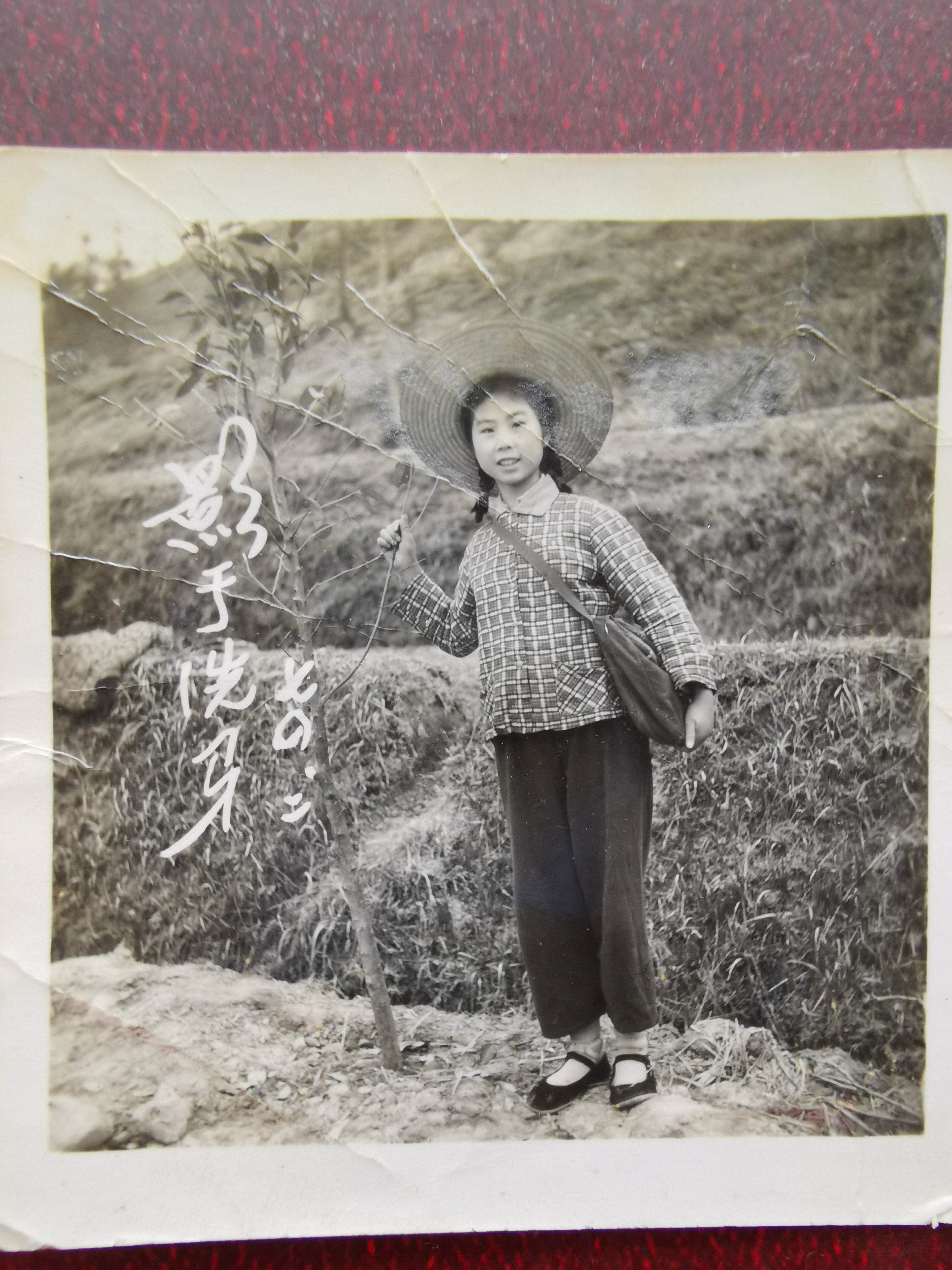 已走过的路无需回头看,已走过的路回不去