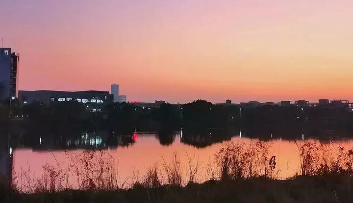 江苏省37所高校,四十六所高校