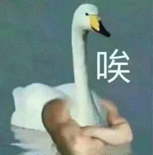 免费了15年！曾经的国产良心，今天终于杀回来