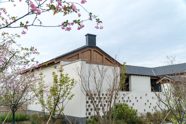 踏春赏花正当时，打卡千垛水上油菜花！玩转兴化景点美食全攻略