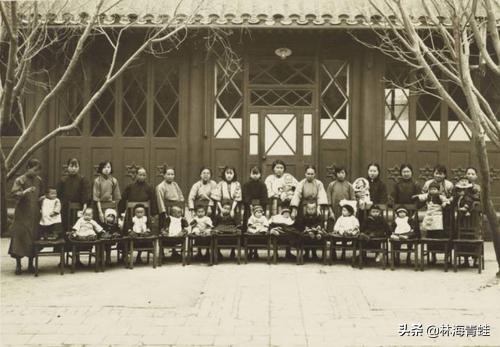 杨崇瑞,杨崇瑞教授