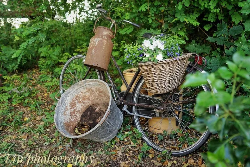 荷兰见闻,荷兰旅居见闻