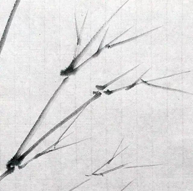 国画竹子怎么画简单又好看,画竹子的叶子简单画法