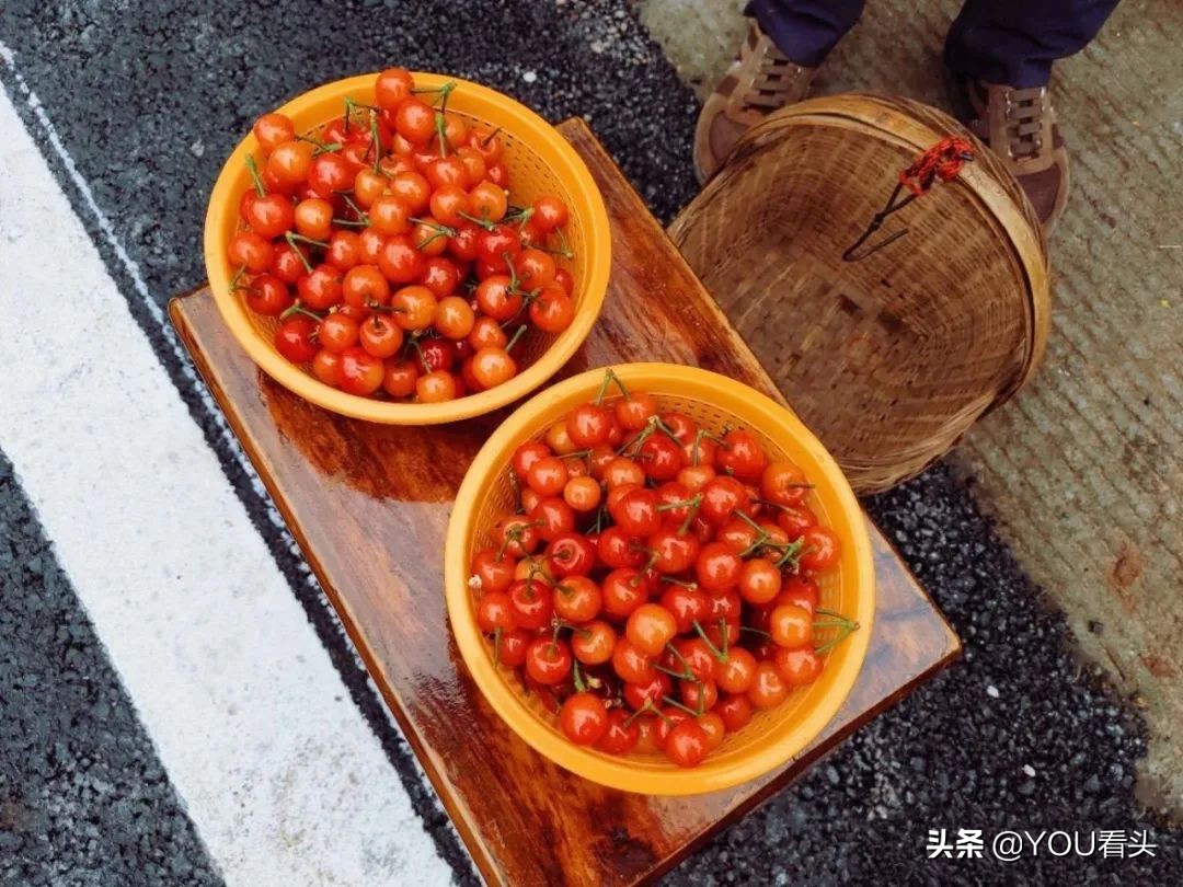 成都市恩桃儿,恩桃成都