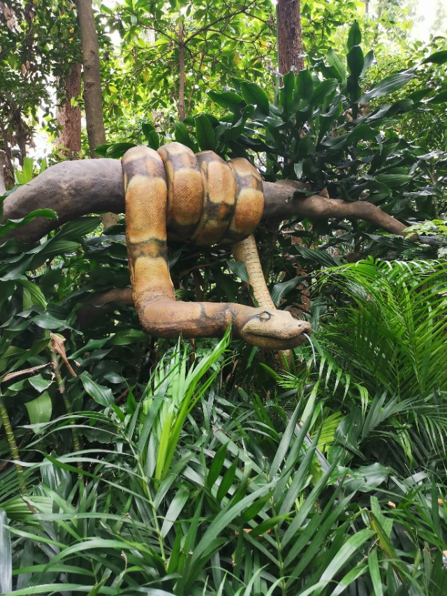 长隆野生动物园自驾车收费,长隆野生动物园儿童要票吗