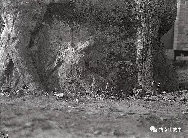 民国一位青年官员来到关中，在周公墓上打了个盹