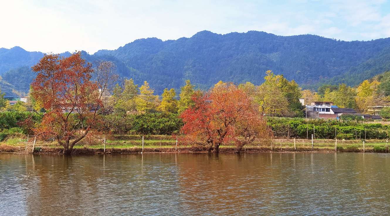 秋天的回忆完整版,秋天的回忆歌曲