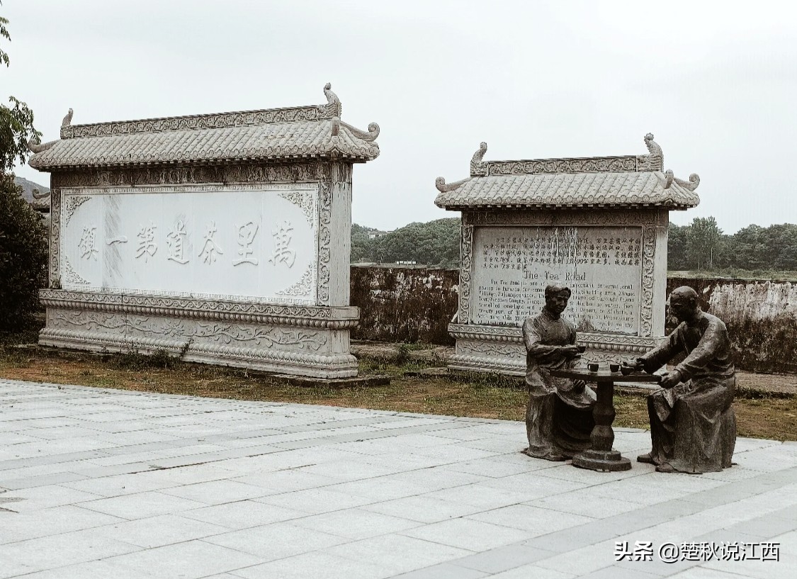 江西武陵红茶,江西最好的红茶