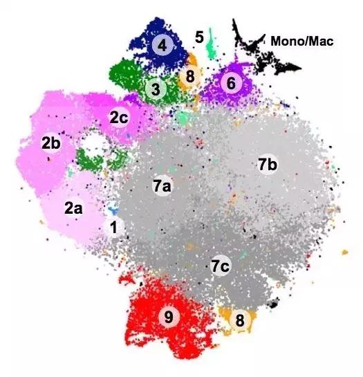 脑科学日报官网,脑科学日报完整版