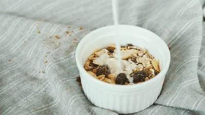 麦片有虫维权,海关查获6000头活体黑腹果蝇