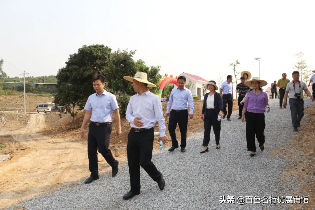 百色市益众公司,百色市益众农业科技有限公司