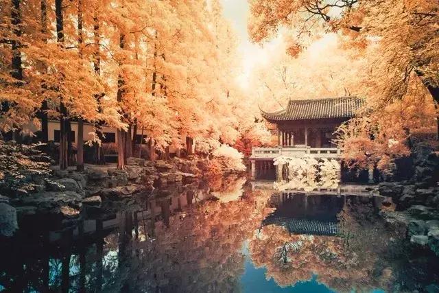 人不为己天诛地灭这是啥意思,人不为己天诛地灭的完整意思