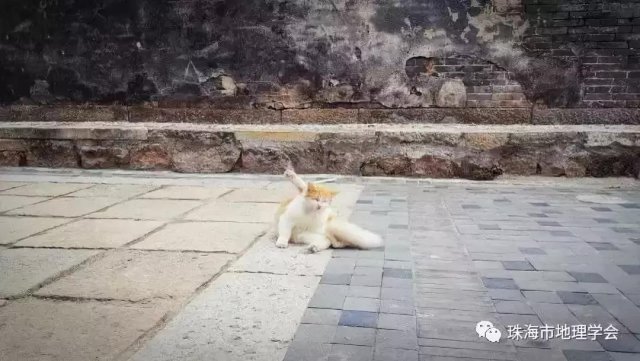 珠海市的古镇古村落,珠海最值得打卡的三大古村