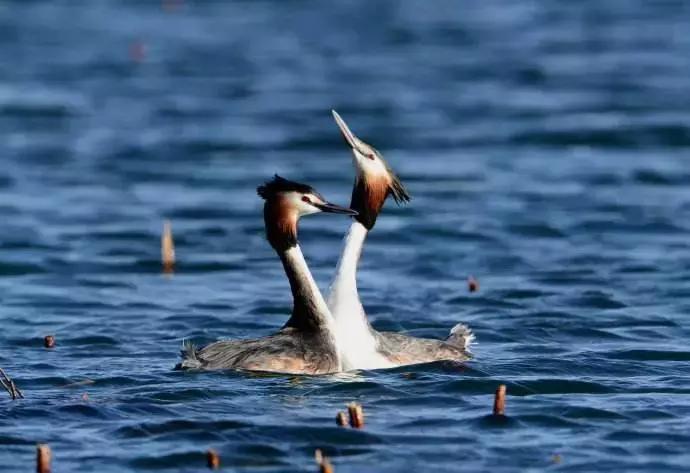 央视新闻直播西安夜景,央视直播西安奥体中心