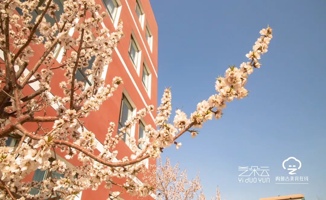 “七个一”先锋在行动|小小讲解员带你游包钢实验二小