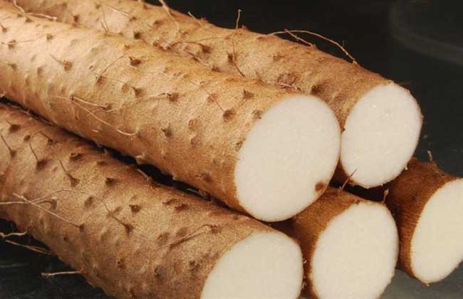 糖尿病人能吃山药吗一顿吃多少呢,糖尿病人吃山药和红薯哪个比较好