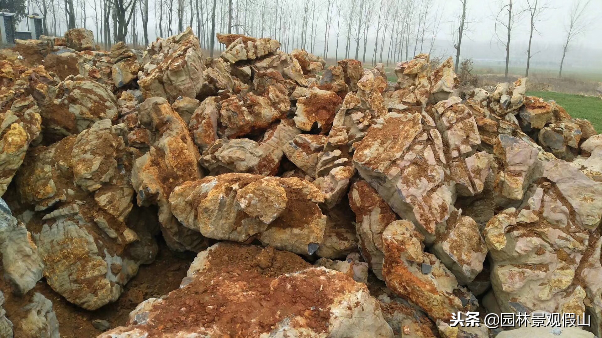 假山一般是什么石头做的,假山石材料有几种