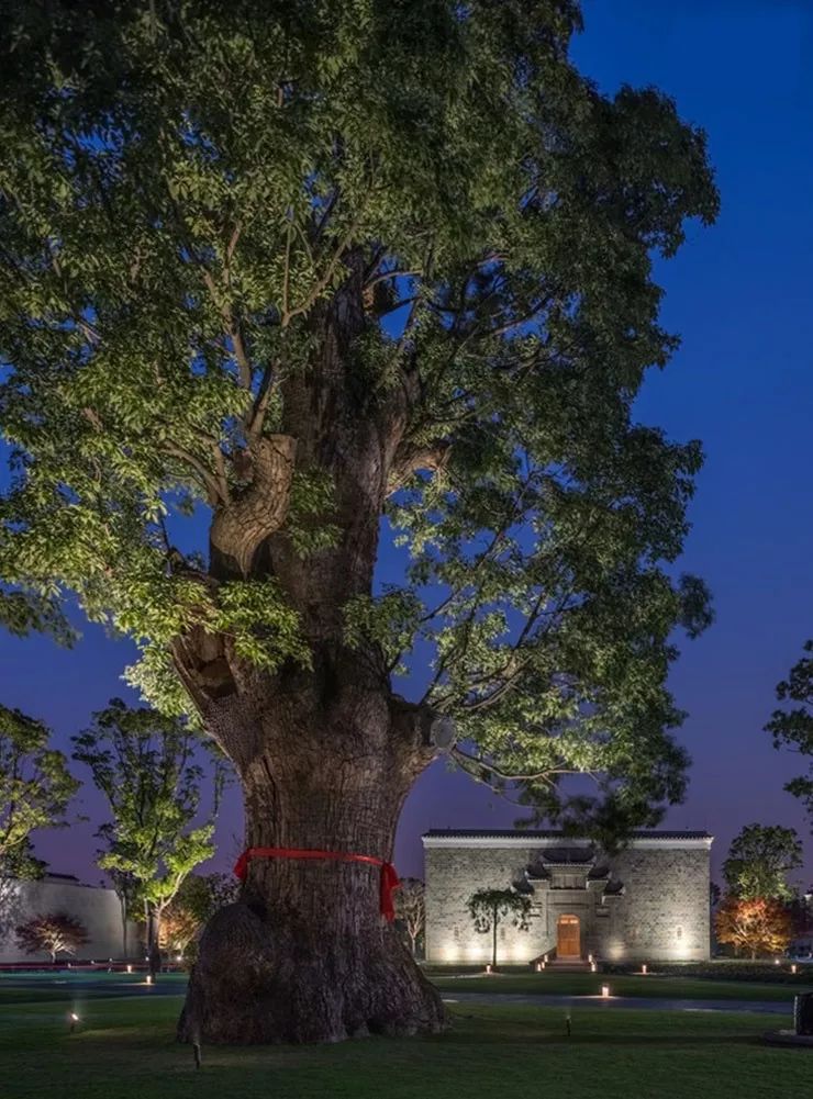 魔都最贵酒店TOP10！安缦第7，深坑垫底