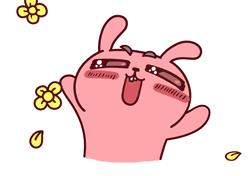 端午汽车文化节,端午汽车节活动