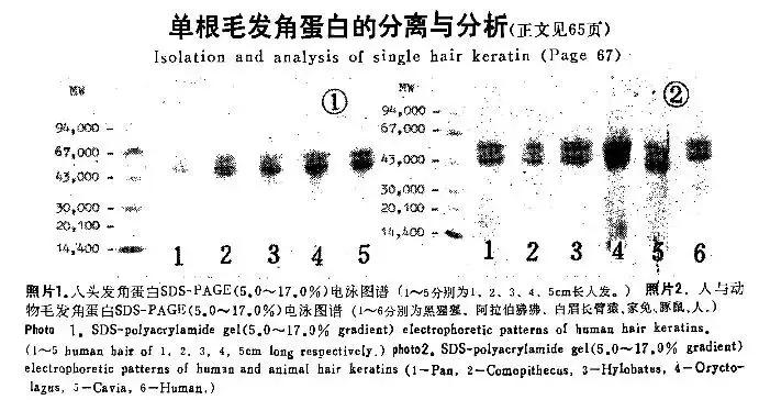 护肤科普是真的吗,护肤科普揭秘