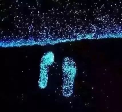 惠州双月湾君廷度假酒店★海景房+双人早晚餐+网红泳池