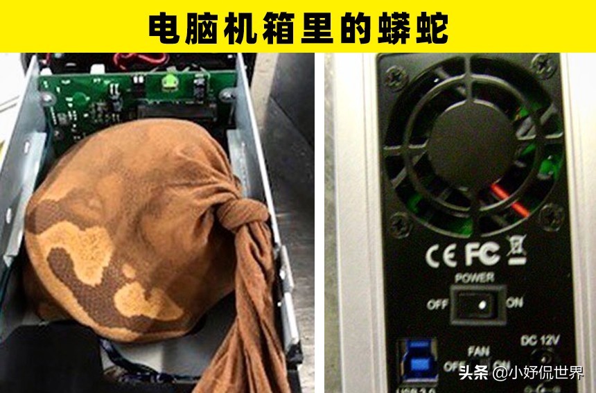 国际机场安检被查,澳大利亚墨尔本机场海关安检物品