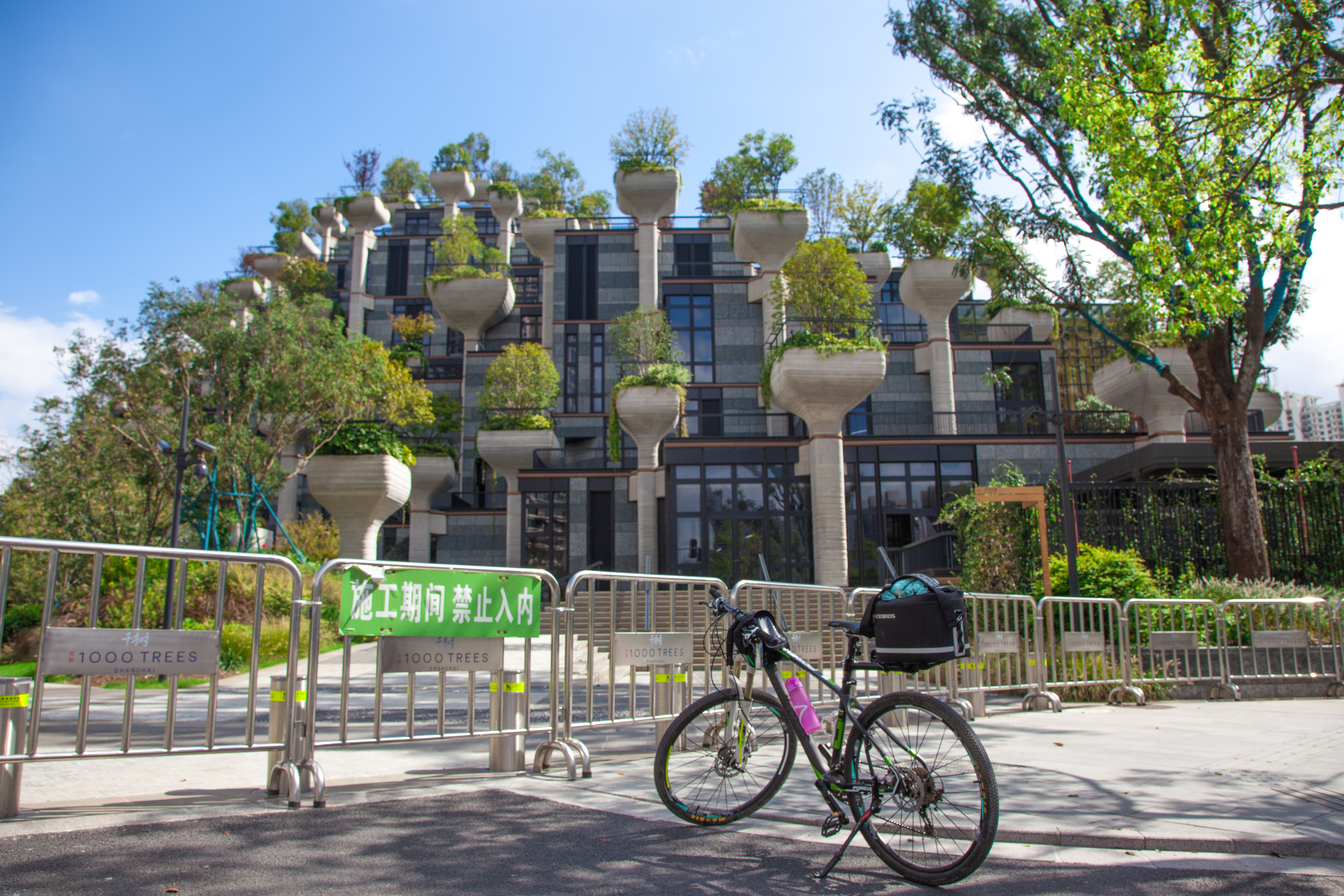 上海地标建筑1000棵树,上海天安千树谁开发的