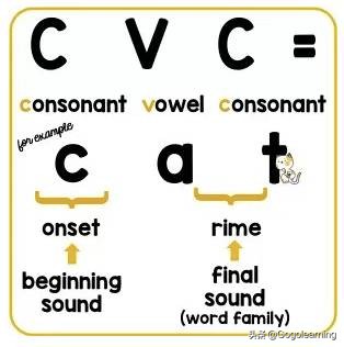 自然拼读入门cvc是什么,cvc和自然拼读有什么区别