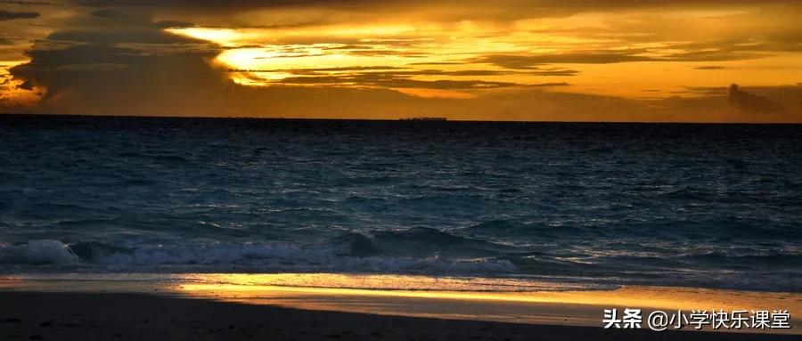 鲁滨逊漂流记梗概优秀作文,鲁滨逊漂流记梗概整本书的梗概