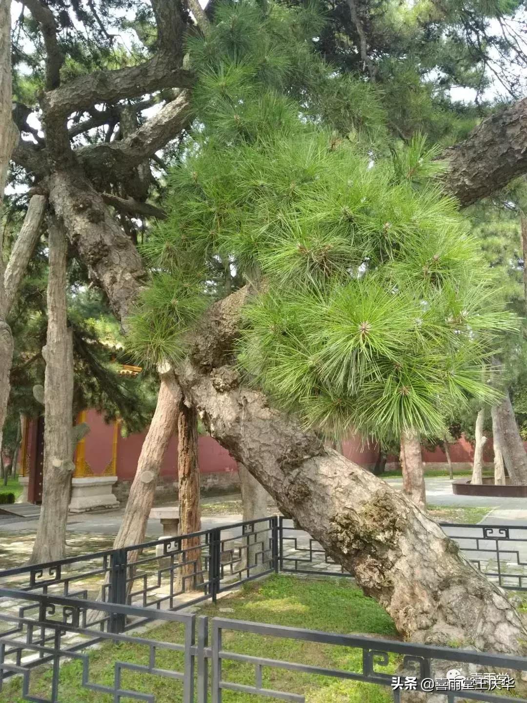 草原行蔚县,内蒙古草原行