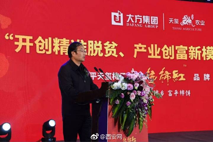 天玺柿子小镇富平柿饼,正宗陕西富平天玺柿饼