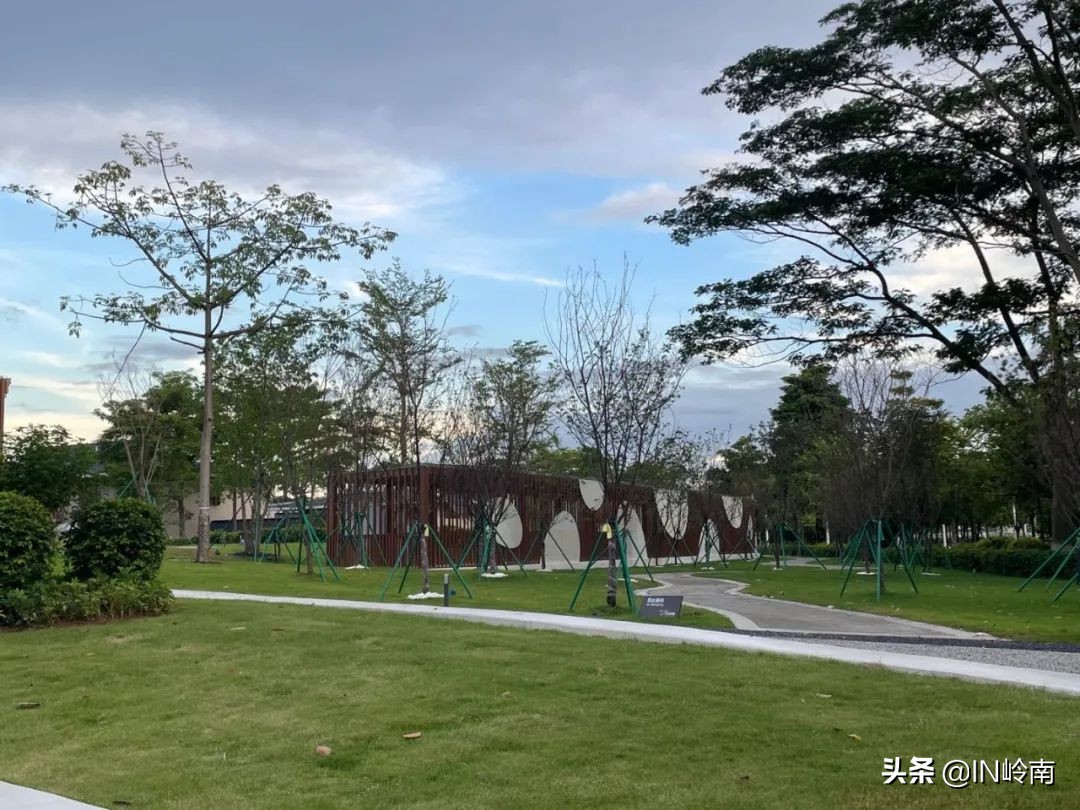 水滴花园，水下森林，这个小岛上的水可太美了