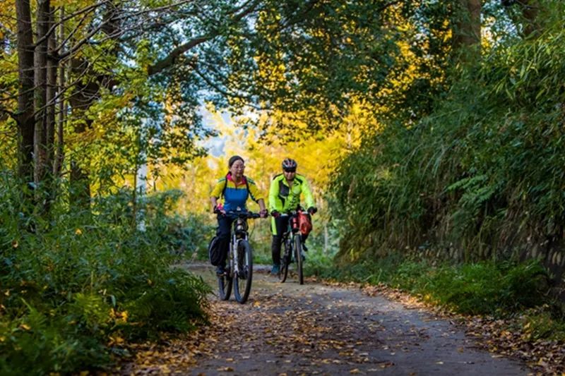 金黄色警报,黄色警报镜头