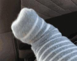 补脑不能吃什么,补脑别只会吃核桃