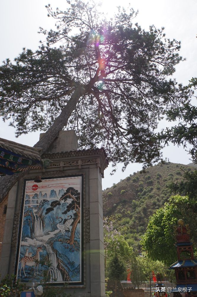 兰州金花娘娘在哪升天,金花娘娘成仙的地方