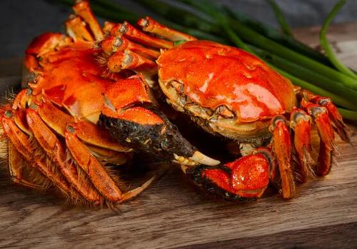 吃不完的螃蟹能放冰箱冷藏吗,吃不完的螃蟹能不能放冰箱冷藏