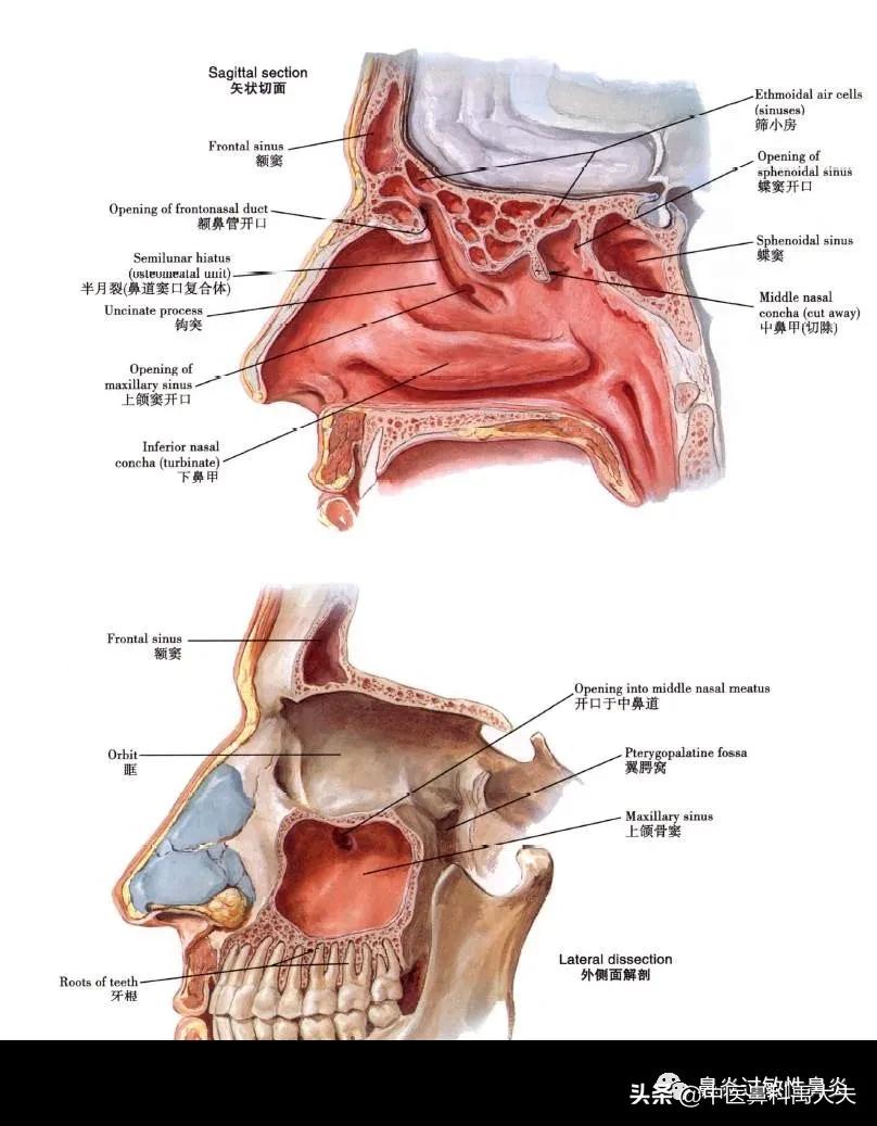 慢性鼻窦炎持续鼻塞头痛怎么治,小孩鼻窦炎长期黄脓鼻涕吃什么药