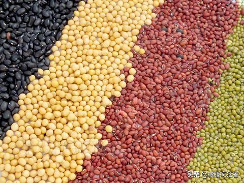 碳水是否有助于减肥,碳水是减肥人士的大敌是这样吗